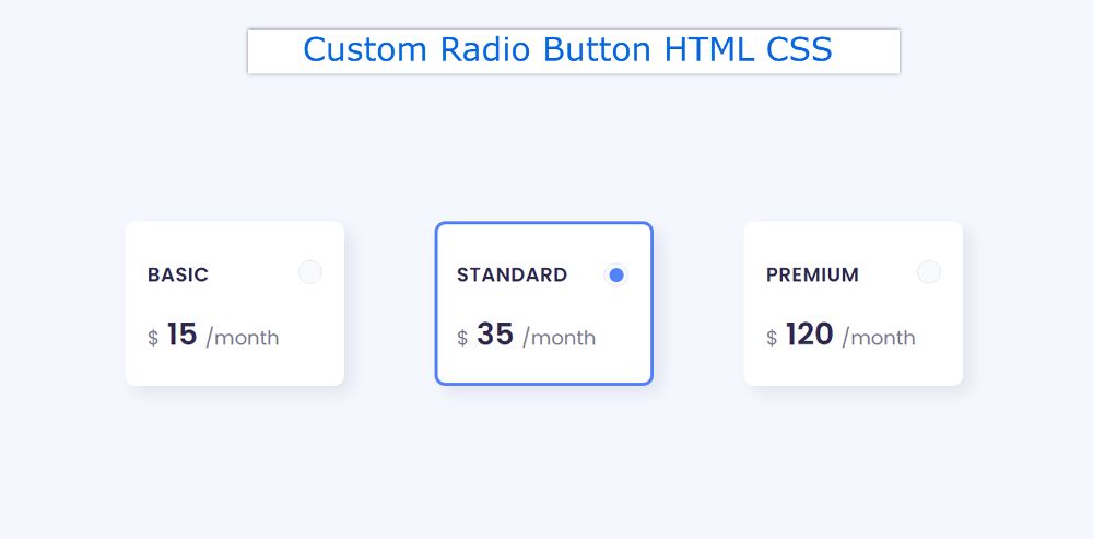 html tutorial radio button